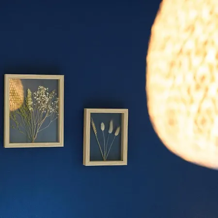 Knus Boshuisje Op De Veluwe Tatil Evi